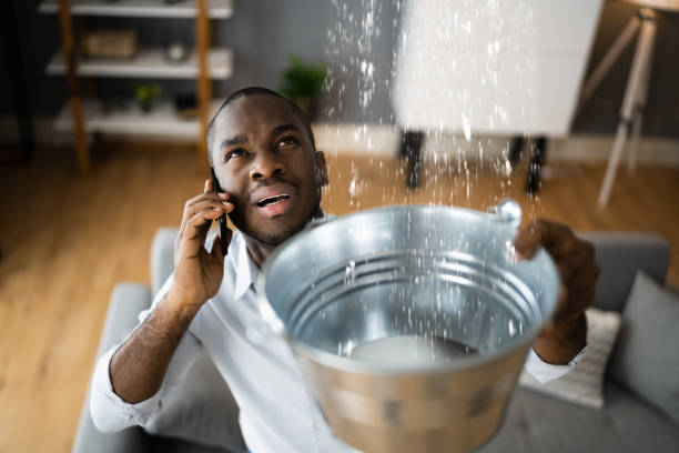 Best Mold removal after water damage  in Bridgehampton, NY