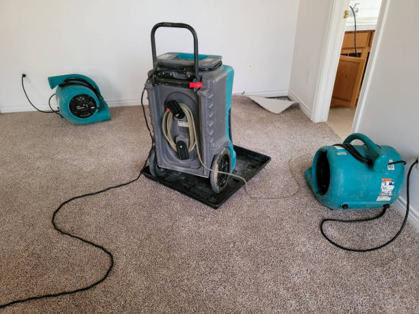 Water damage restoration process in NY