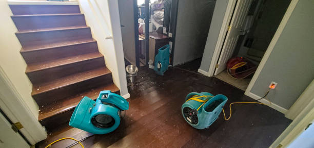 Best Water damage contractors near me  in Bridgehampton, NY