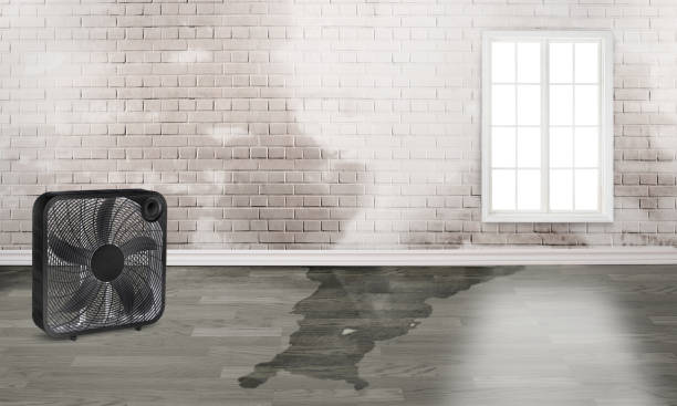 Best Ceiling water damage repair  in Bridgehampton, NY