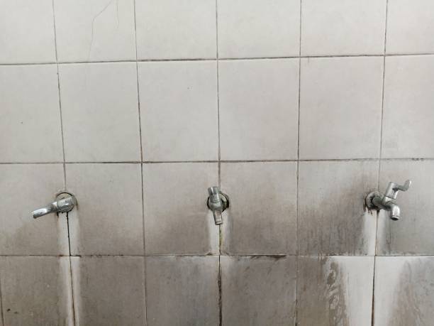  Bridgehampton, NY Water damage restoration Pros