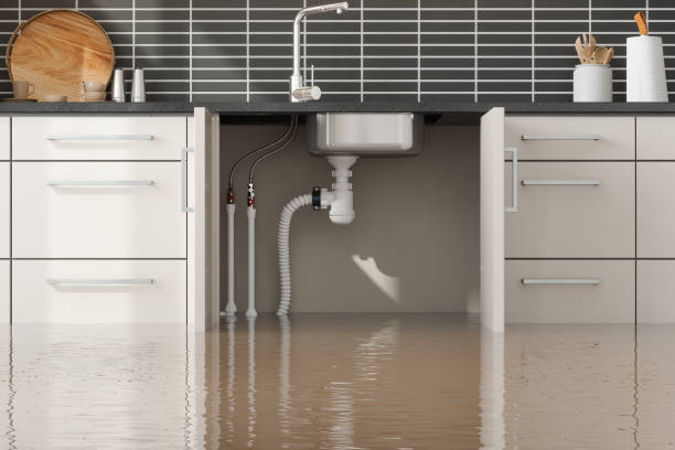 Best Water damage restoration cost  in Bridgehampton, NY