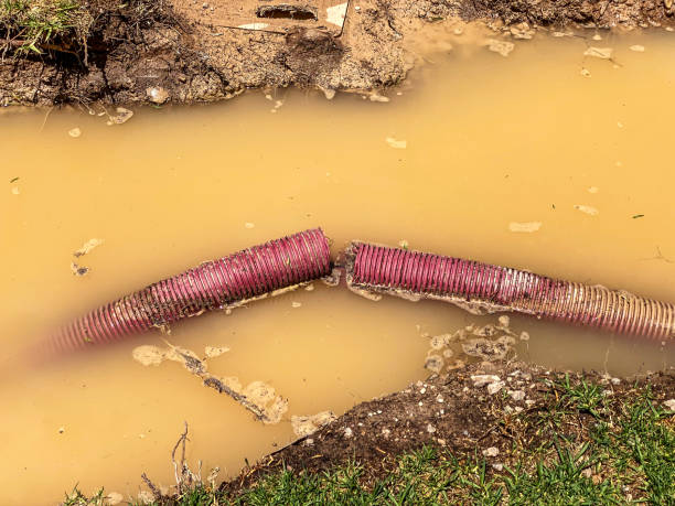 Best Basement water damage restoration  in Bridgehampton, NY